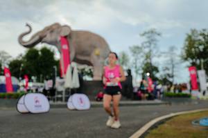 BIB: 
                            <button type="button" onclick="openModal(26528846)" class="btn btn-primary btn-sm float-right btn-popup" data-toggle="modal" data-target=".modal-high-quality">
                        <i class="fas fa-shopping-cart"></i> Add to Cart
                    </button>
                                            <button type="button" onclick="isThisMe(26528846, true)" class="btn btn-success btn-sm float-right btn-popup btn-isme hidden" data-toggle="tooltip" data-placement="bottom" title="นี่คือรูปของคุณใช่ไหม คลิกที่นี่เพื่อเอาเข้าอัลบั้ม">
                        <i class="fas fa-plus"></i> Add to album
                    </button>
                    <button type="button" onclick="isThisMe(26528846, false)" class="btn btn-warning btn-sm float-right btn-popup btn-isnotme hidden">
                        <i class="fas fa-ban"></i> Remove from album
                    </button>